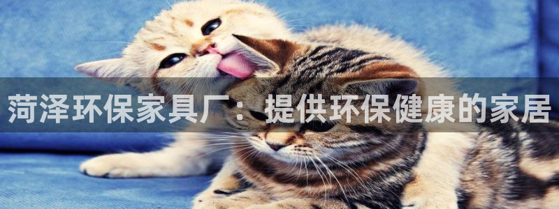 杏耀注册杏耀登陆