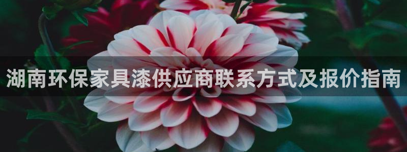 杏耀平台代理