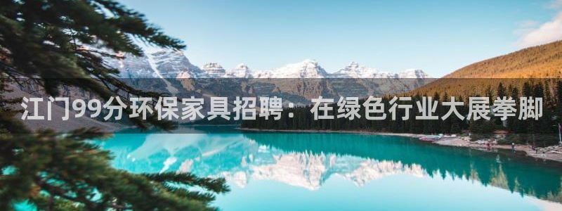 杏耀注册代理