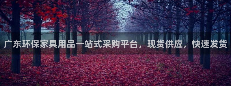 杏耀平台客户端：广东环保家具用品一站式采购平台，现货供应，快