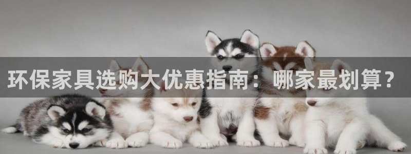 杏耀平台登陆地址