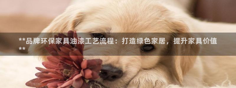 杏耀平台登录网站：**品牌环保家具油漆工艺流程：打造绿色家居