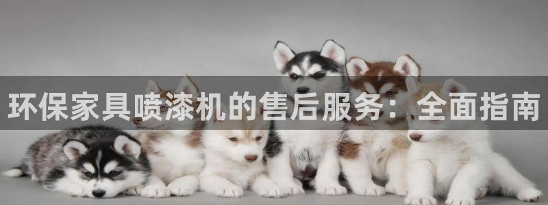 杏耀代理连接