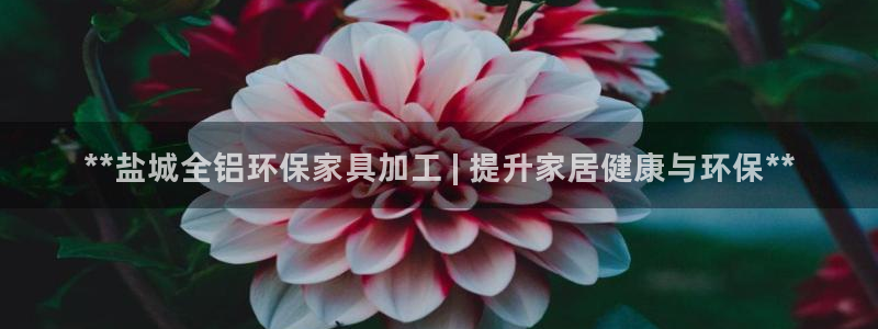 杏耀官网娱乐