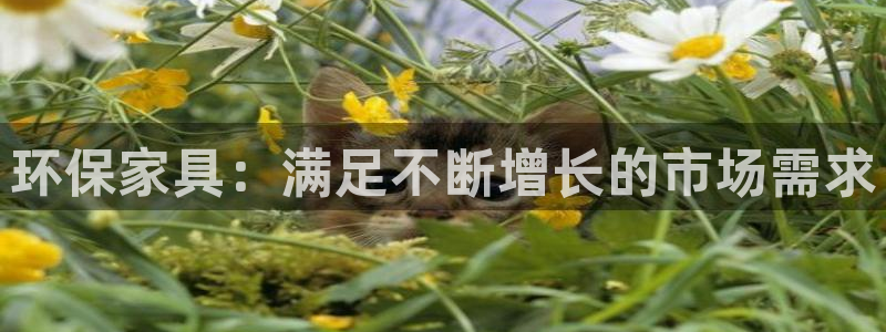 杏耀线路5检测