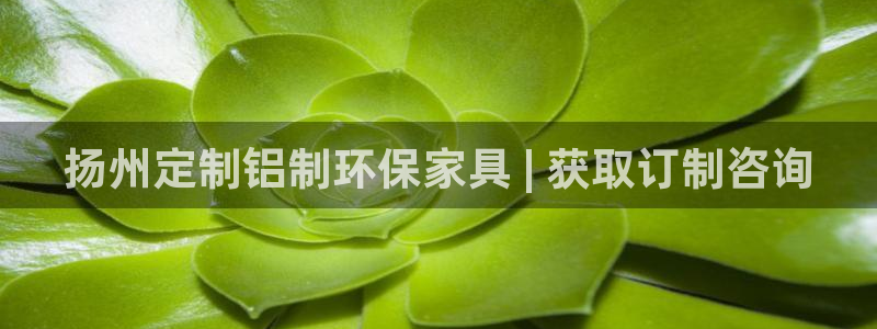 杏耀代理日工资多少：扬州定制铝制环保家具 | 获取订制咨询