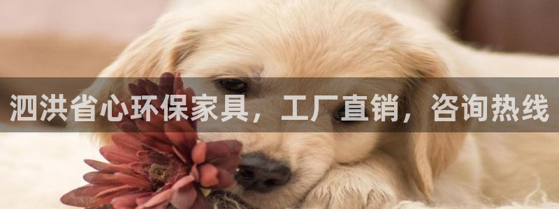 杏耀代理官网