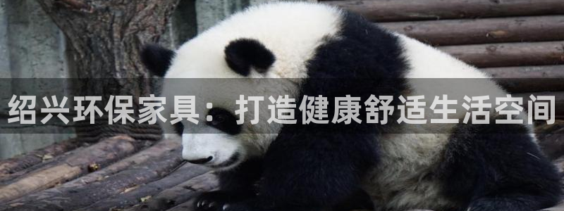 杏耀测速登录地址：绍兴环保家具：打造健康舒适生活空间