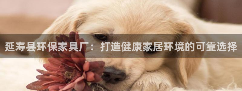 杏耀平台登陆测速