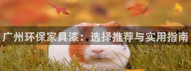 杏耀代理主管qq