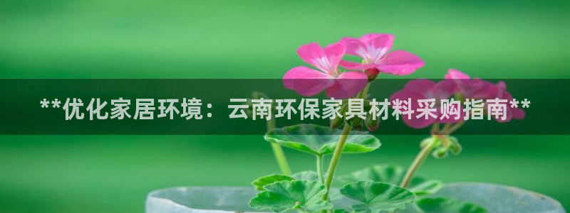 杏耀平台官网登录：**优化家居环境：云南环保家具材料采购指南