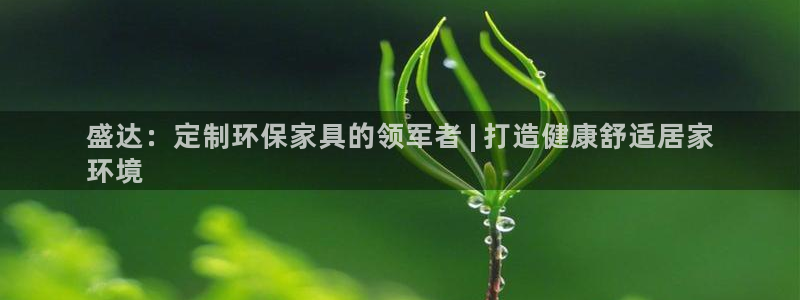 杏耀手机客户端：盛达：定制环保家具的领军者 | 打造健康舒适