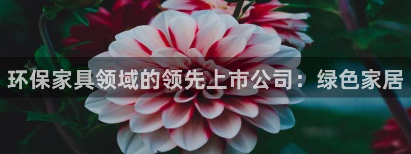 杏耀平台专用通道：环保家具领域的领先上市公司：绿色家居