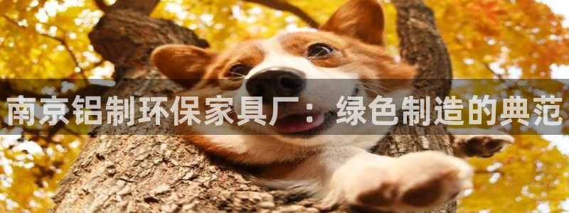 杏耀注册登录：南京铝制环保家具厂：绿色制造的典范