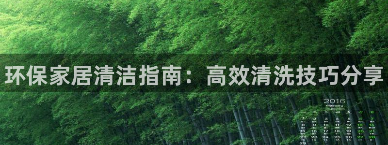 杏耀app怎样申请：环保家居清洁指南：高效清洗技巧分享