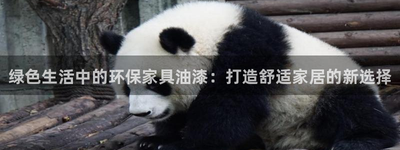 杏耀如何注册：绿色生活中的环保家具油漆：打造舒适家居的新选择