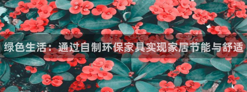 杏耀官方：绿色生活：通过自制环保家具实现家居节能与舒适