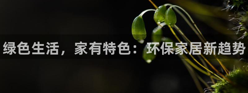 杏耀平台注册入口：绿色生活，家有特色：环保家居新趋势