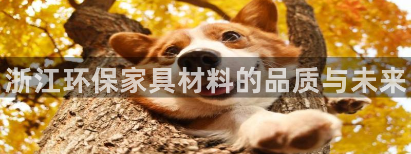 杏耀平台登录：浙江环保家具材料的品质与未来