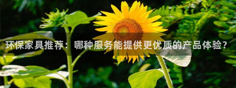 杏耀平台登录首页：环保家具推荐：哪种服务能提供更优质的产品体