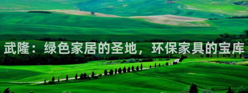 杏耀平台手机app：武隆：绿色家居的圣地，环保家具的宝库