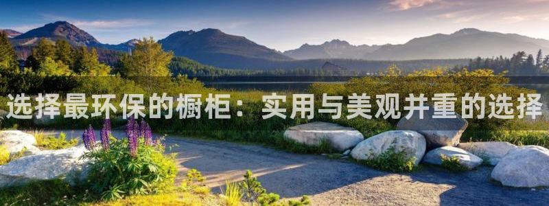 杏耀平台几年了：选择最环保的橱柜：实用与美观并重的选择