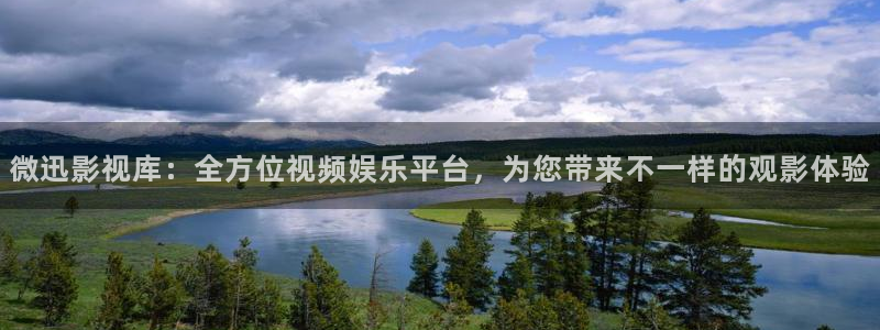 yy/t 0969