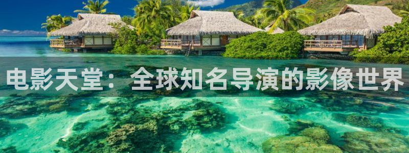 97影院96