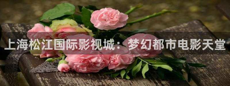 6969影院电视剧在线观看